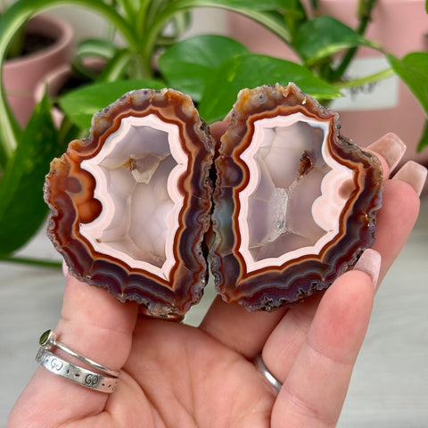 Perfect Malawi Agate Pair