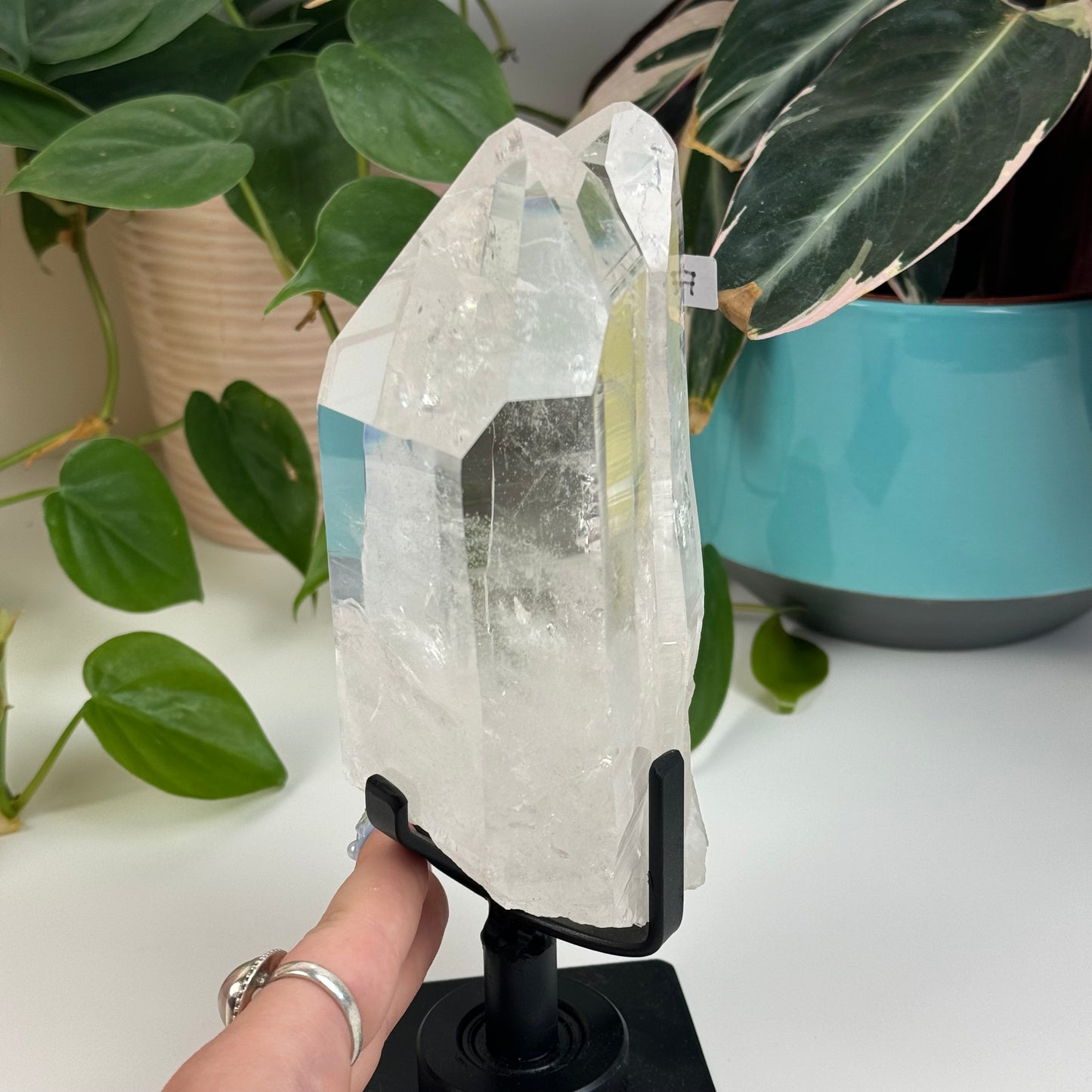 Incredible Lemurian Quartz (W/ Custom Stand) - F