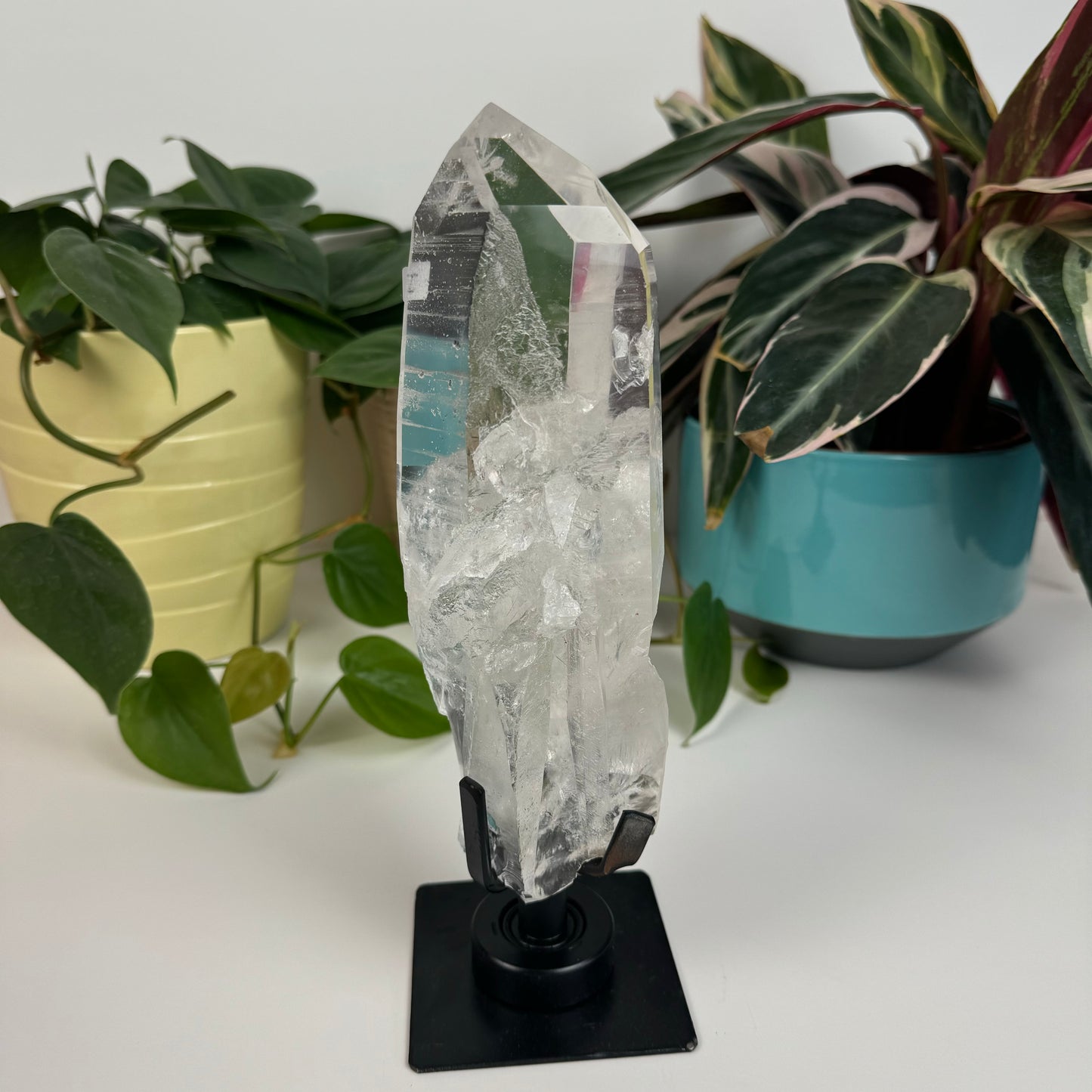 Incredible Lemurian Quartz (W/ Custom Stand) - I