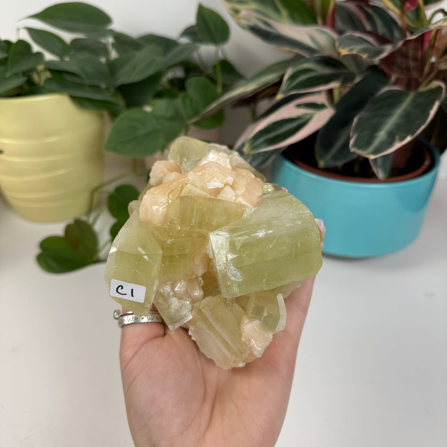 Green Apple Apophyllite