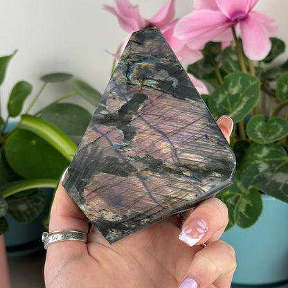 Imperfect Spectrolite Free Form
