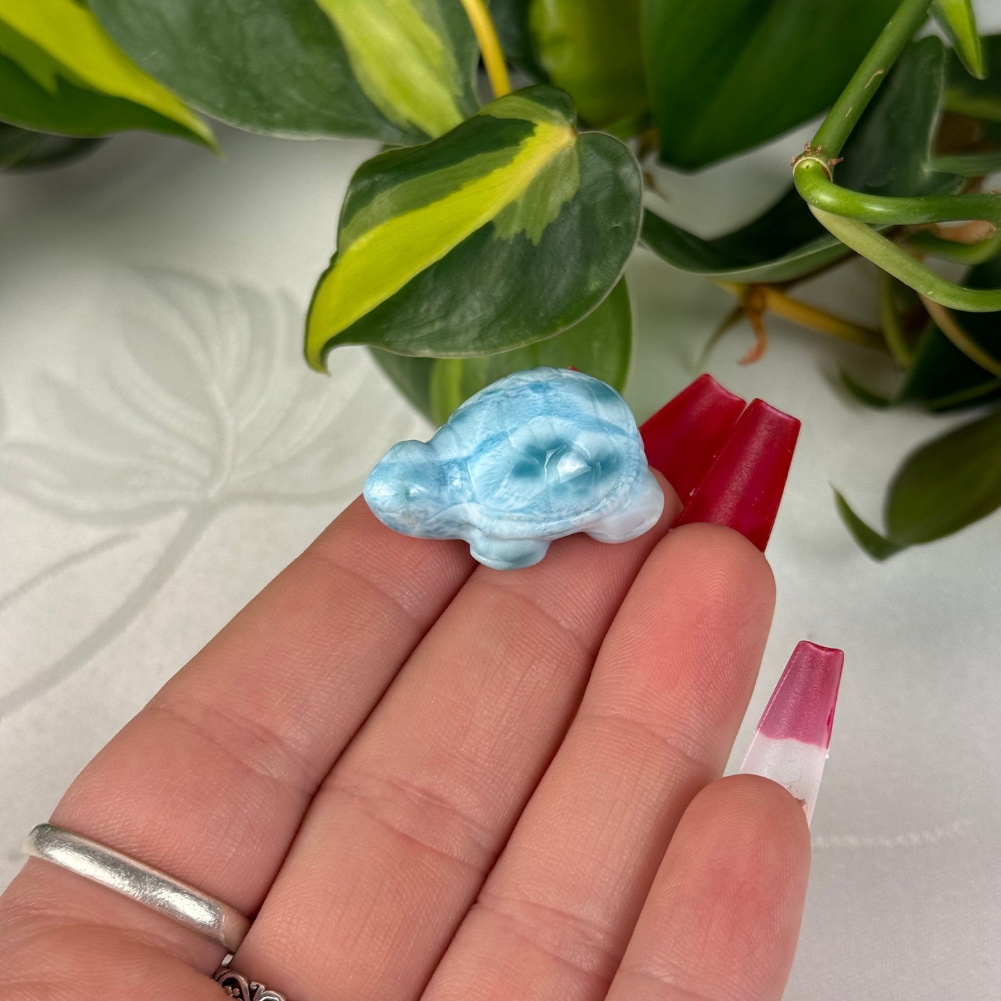 Mini Larimar Turtle