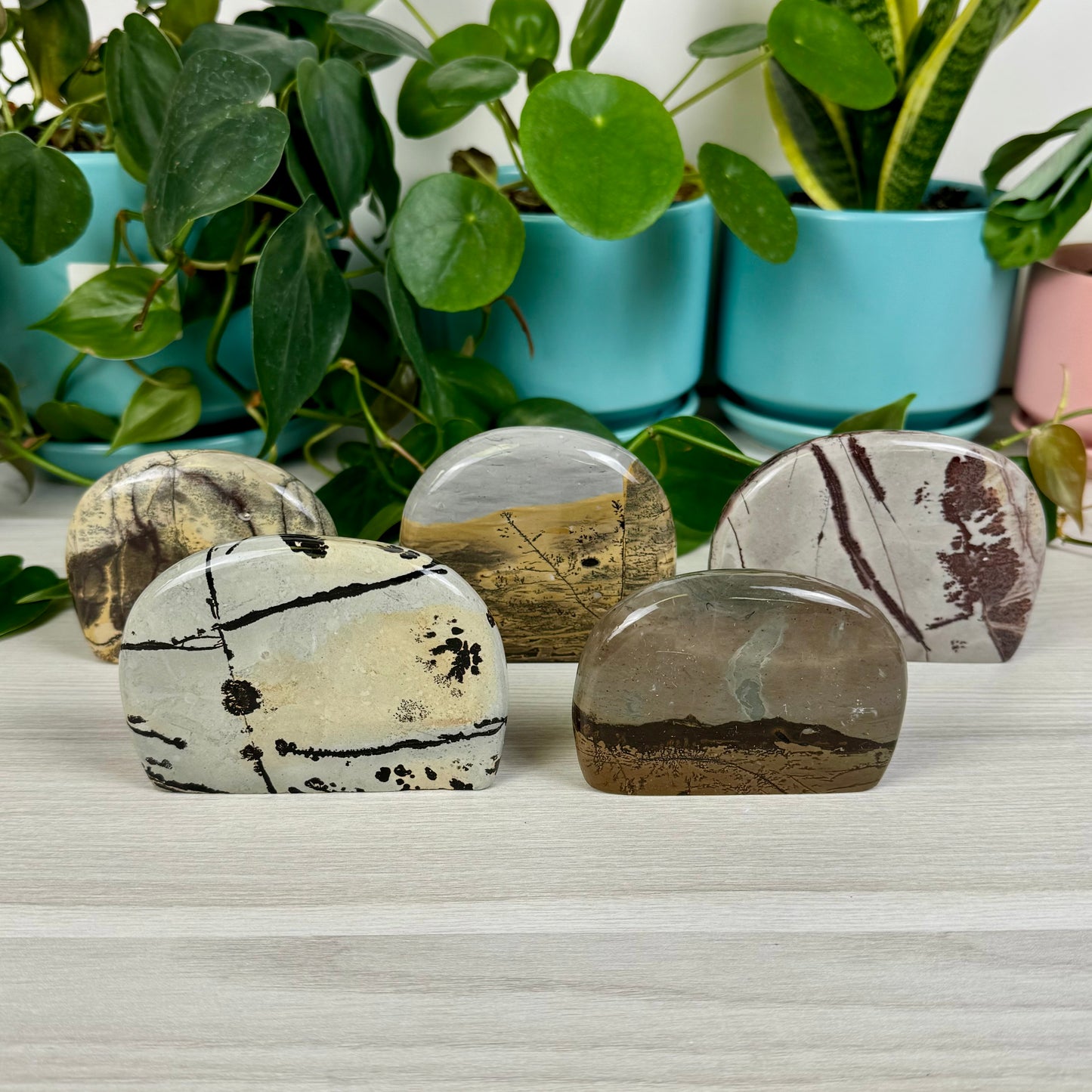 Painting Stone Free Form