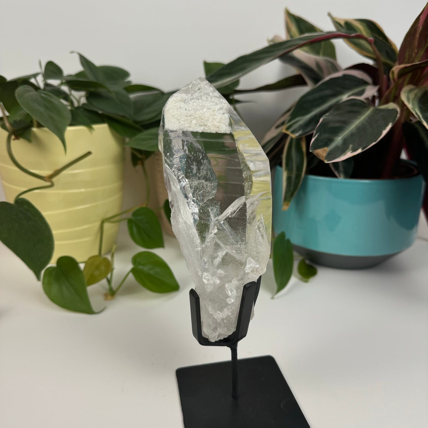 Incredible Lemurian Quartz (W/ Custom Stand) - O