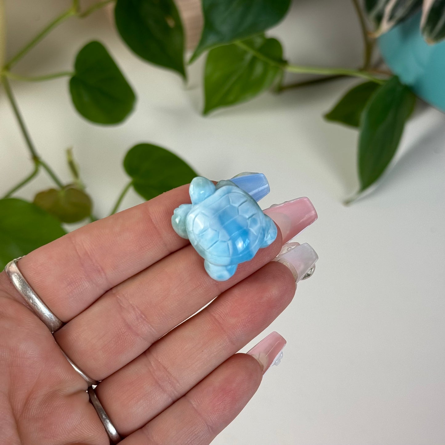 Small Larimar Turtle