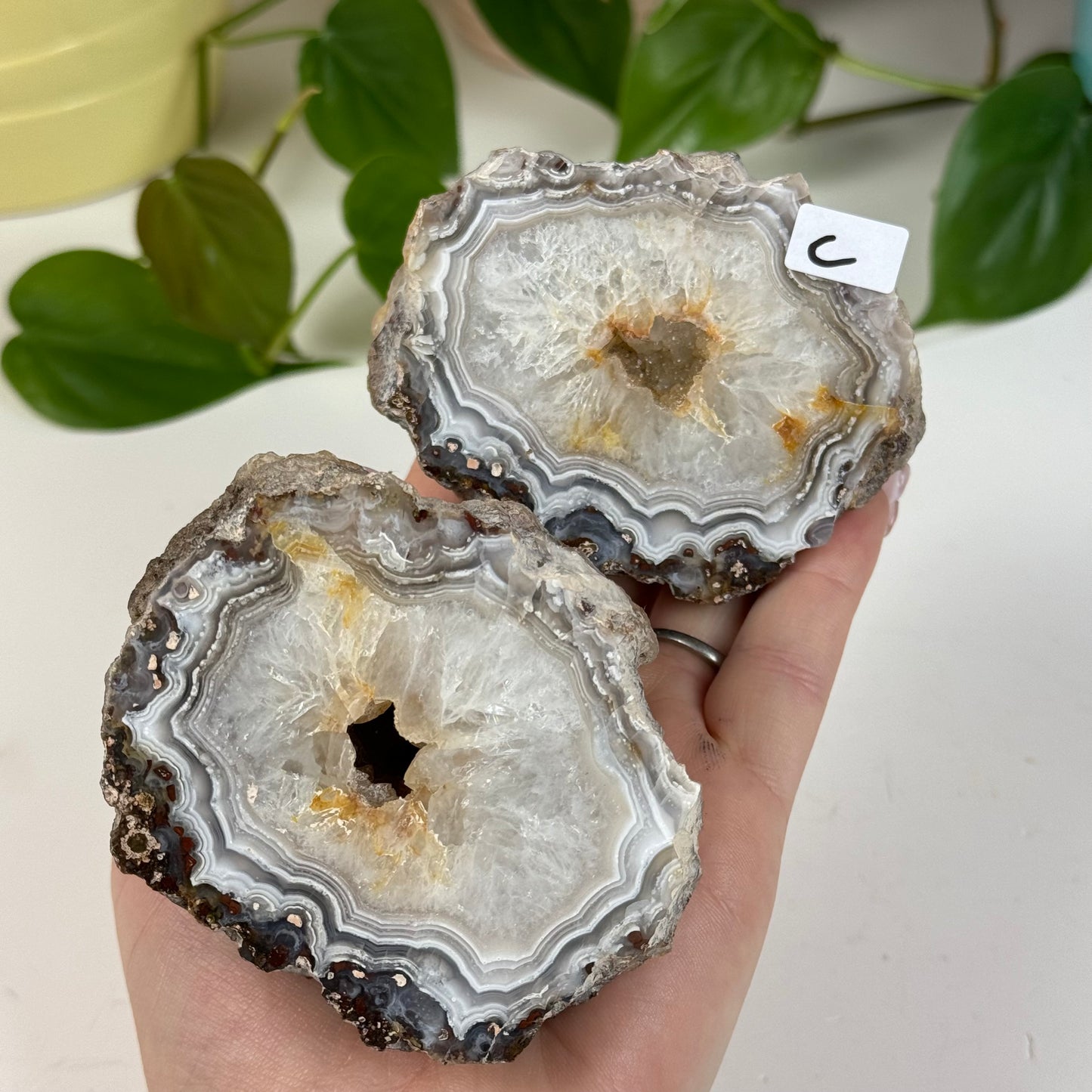 Laguna Agate Pair