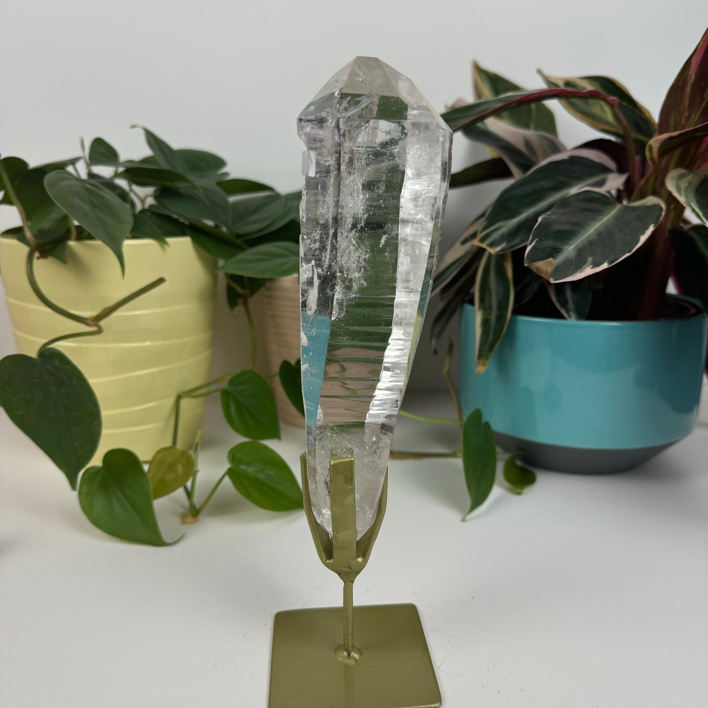 Incredible Lemurian Quartz (W/ Custom Stand) - W