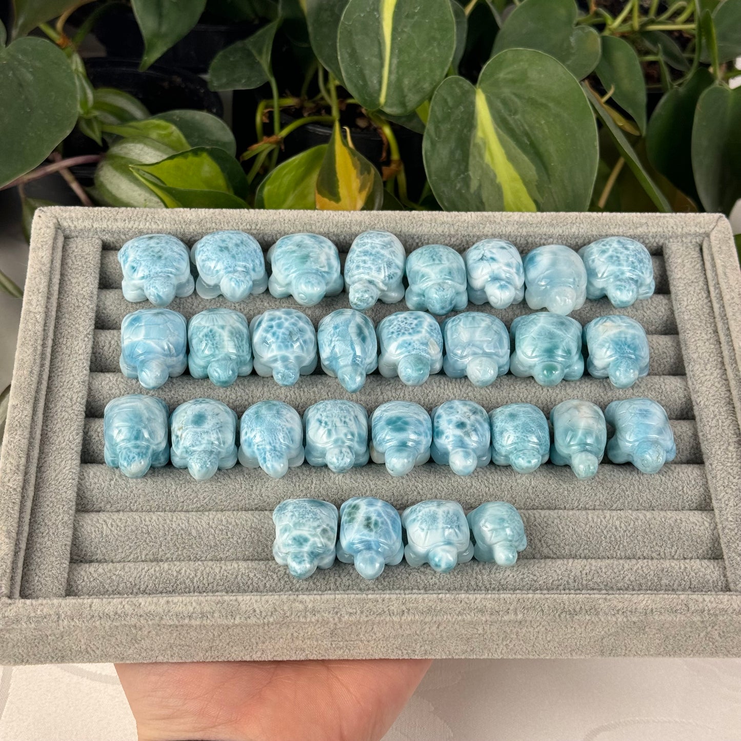 Mini Larimar Turtle