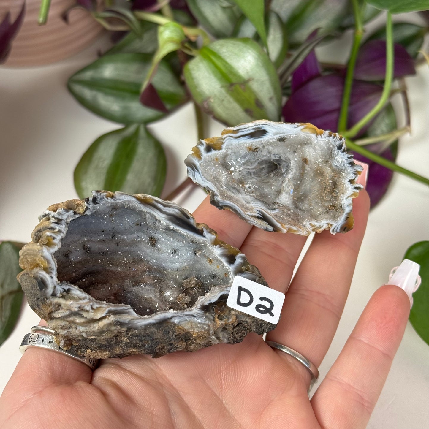 Druzy Agate Geode Pair