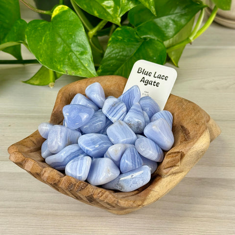 Blue Lace Agate Tumble 15 - AAA 4 - Kenna's Crystals from TikTok