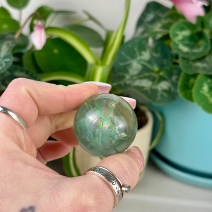 Green Grape Fluorite Sphere