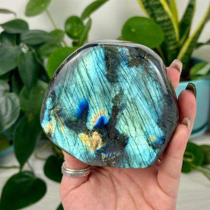 Green/Blue Labradorite Free Form