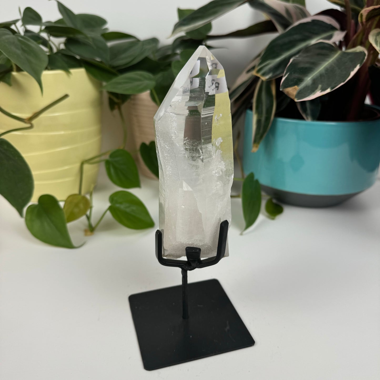 Incredible Lemurian Quartz (W/ Custom Stand) - R