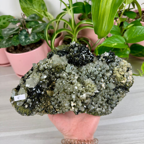 Black Epidote & Chlorite Quartz Specimen (Forest Quartz)