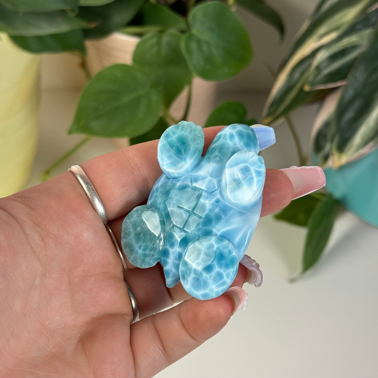 Large Larimar Turtle - G