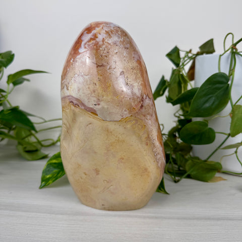 XL Polychrome Jasper Free Form