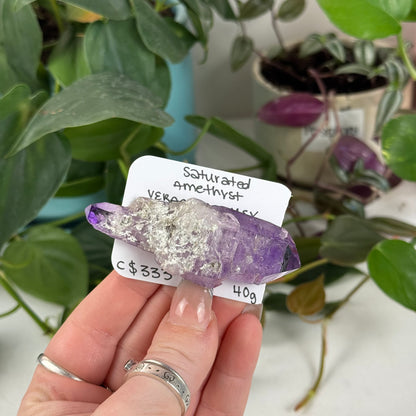 Saturated Veracruz Amethyst