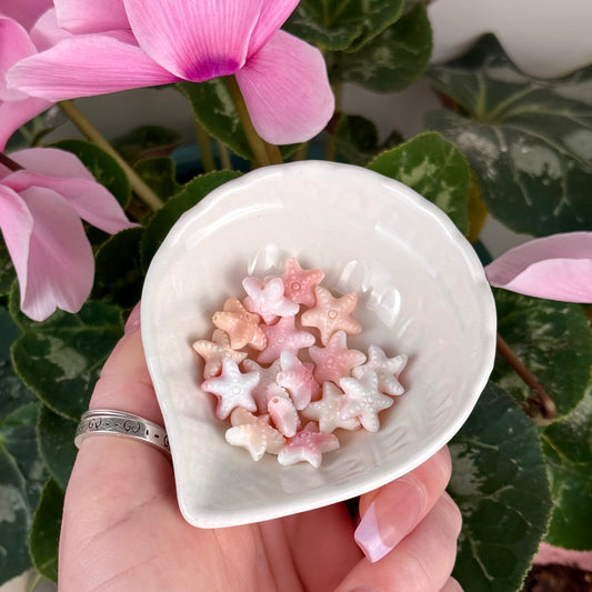 Mini Conch Shell Sea Star