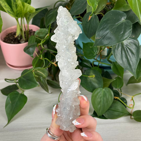 Stalactite Specimen