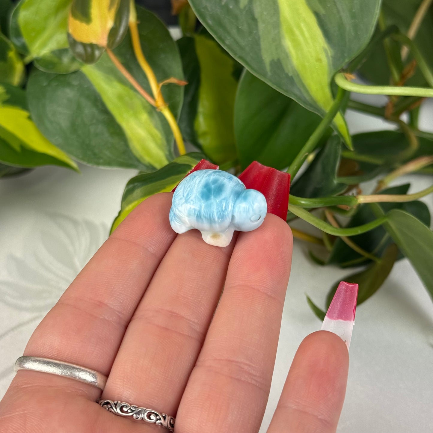 Mini Larimar Turtle