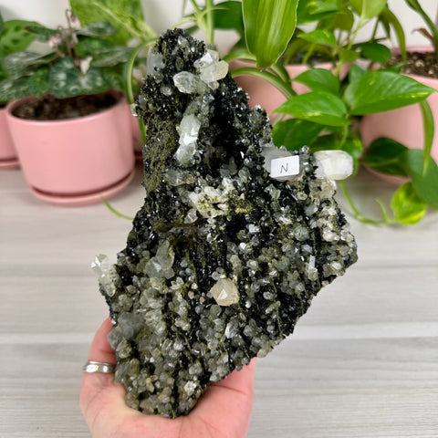 Black Epidote & Chlorite Quartz Specimen (Forest Quartz)