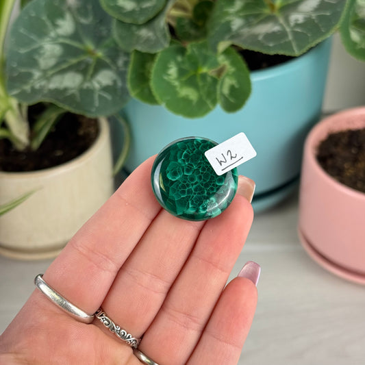 Malachite Cookie - W2