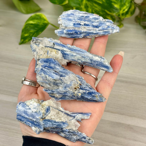 Blue Kyanite Cluster