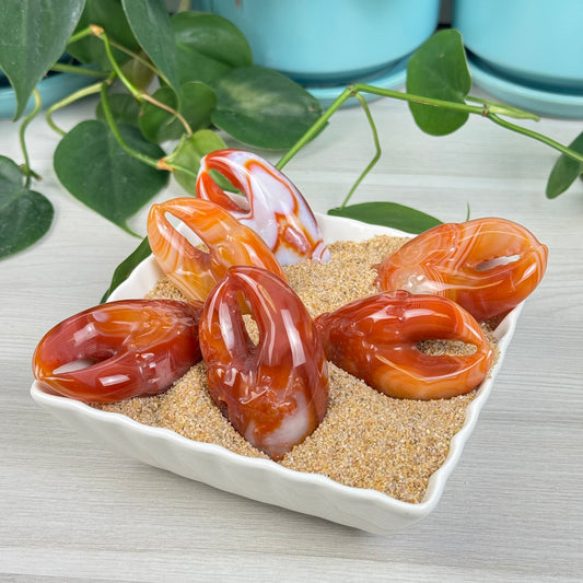Carnelian Lobster Claw Carving