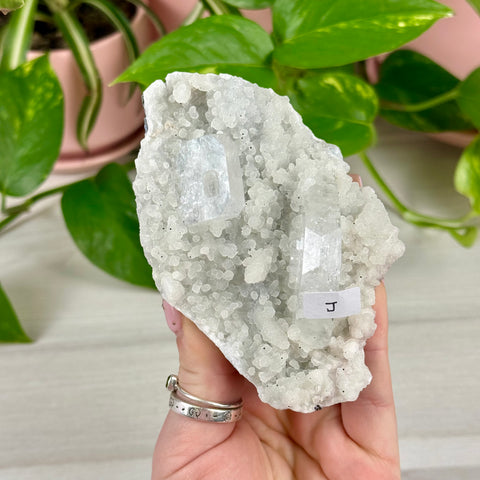 Sparkling White Chalcedony With Apophyllite