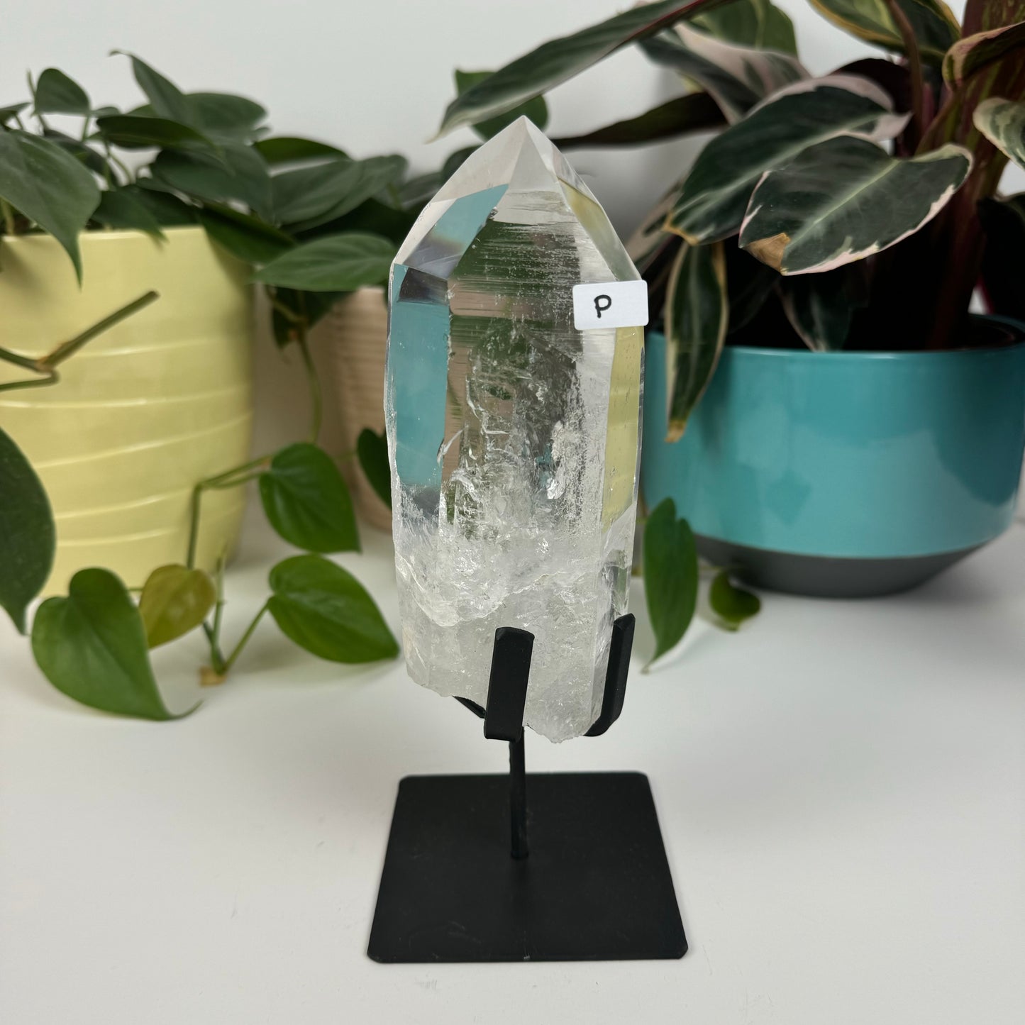 Incredible Lemurian Quartz (W/ Custom Stand) - P