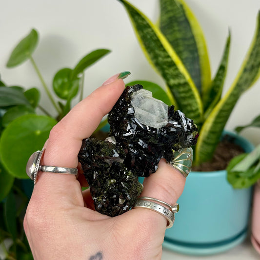 Glossy Black Epidote (Forest Quartz)