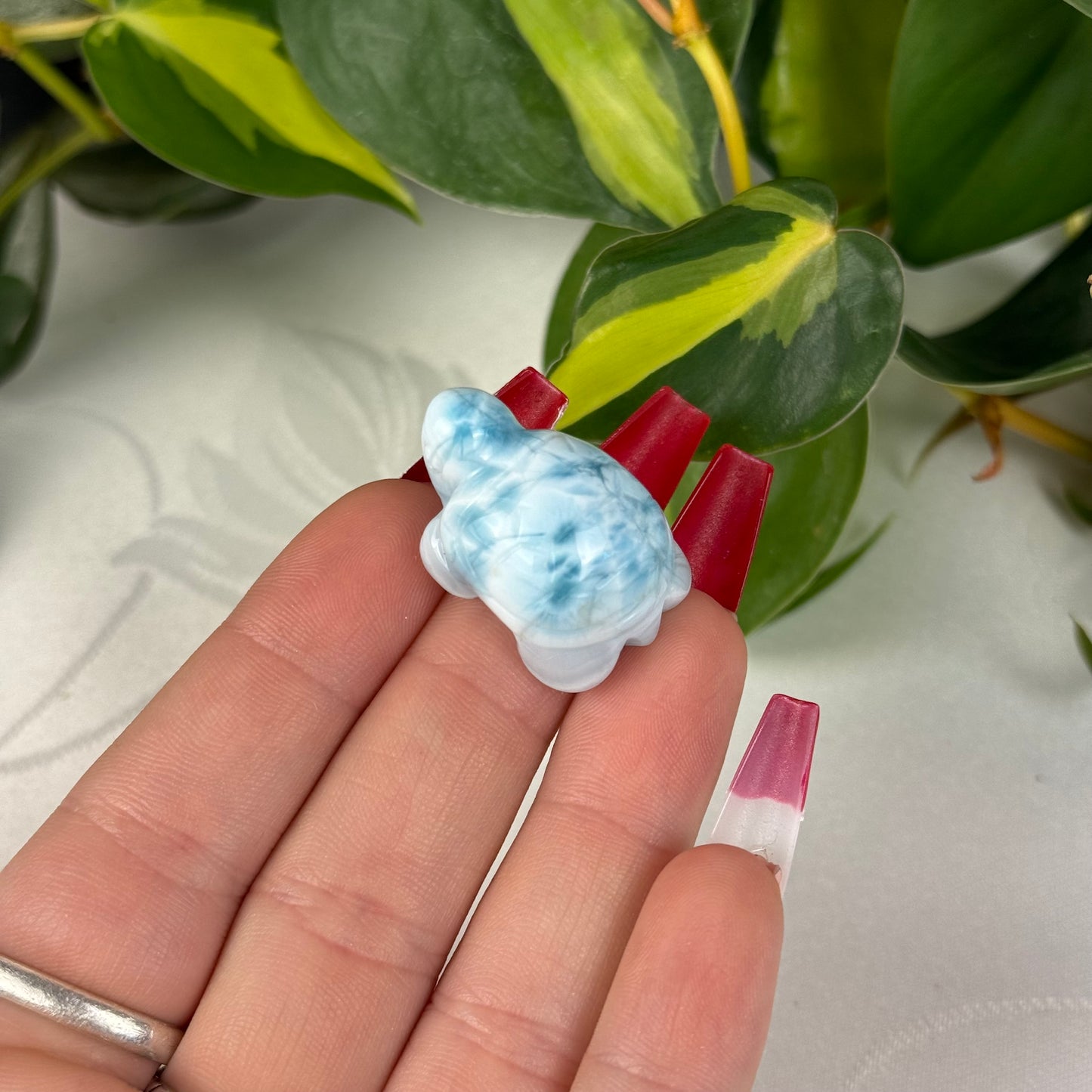 Mini Larimar Turtle