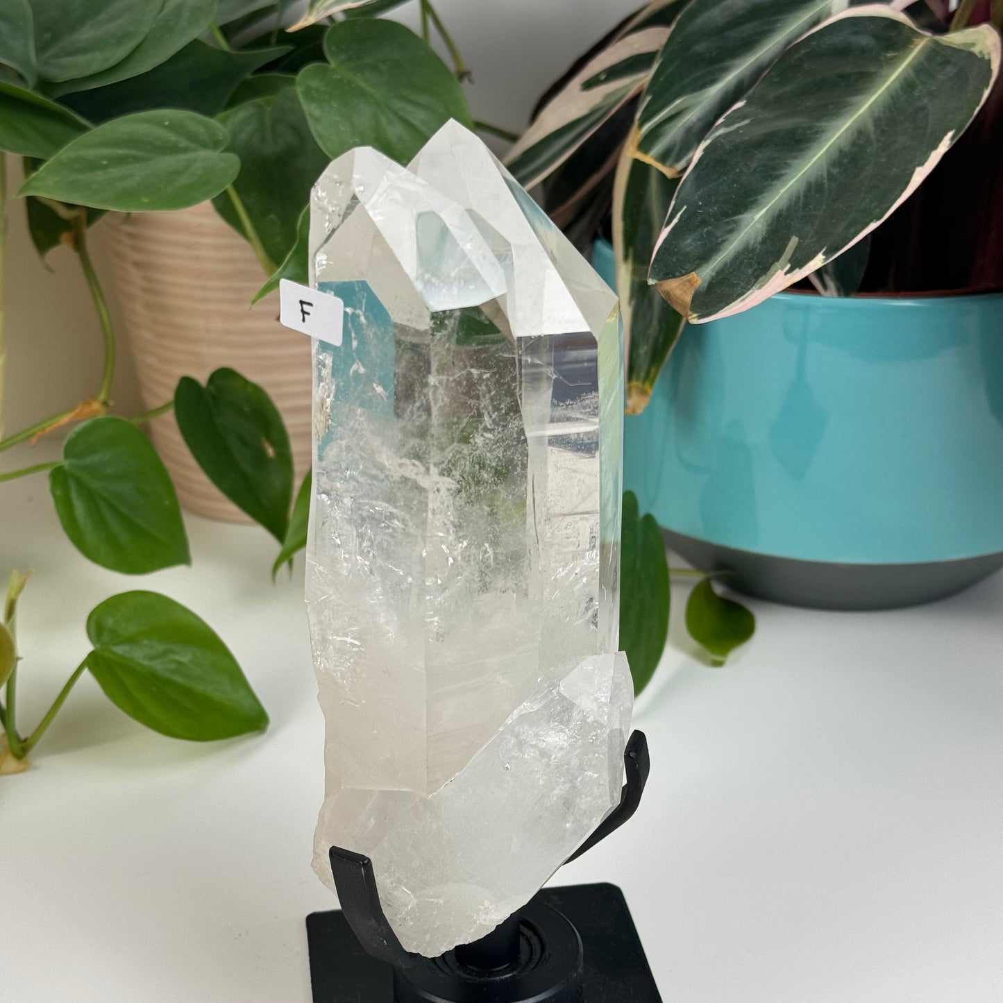 Incredible Lemurian Quartz (W/ Custom Stand) - F