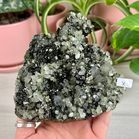 Black Epidote & Chlorite Quartz Specimen (Forest Quartz)