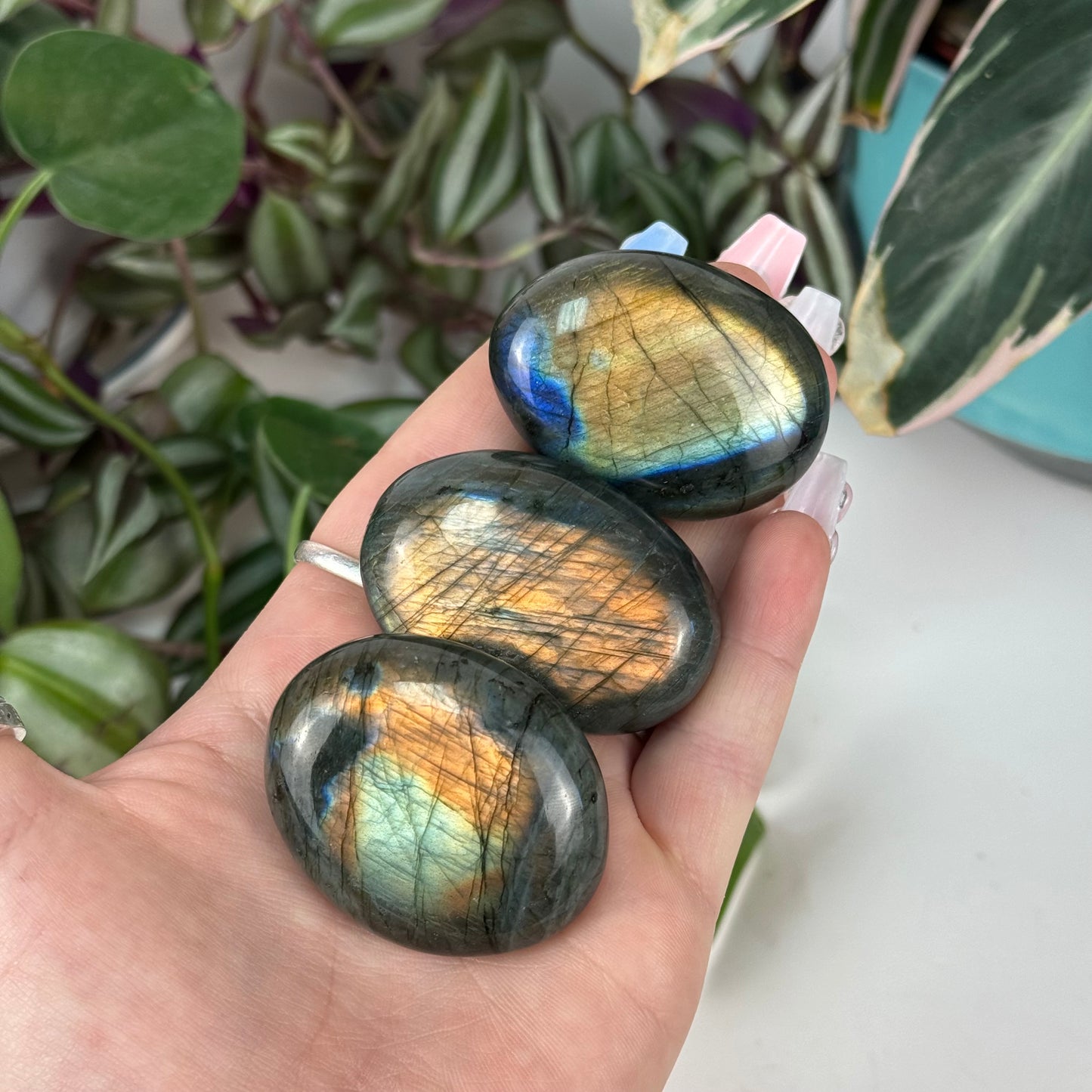 Labradorite Palm Stone