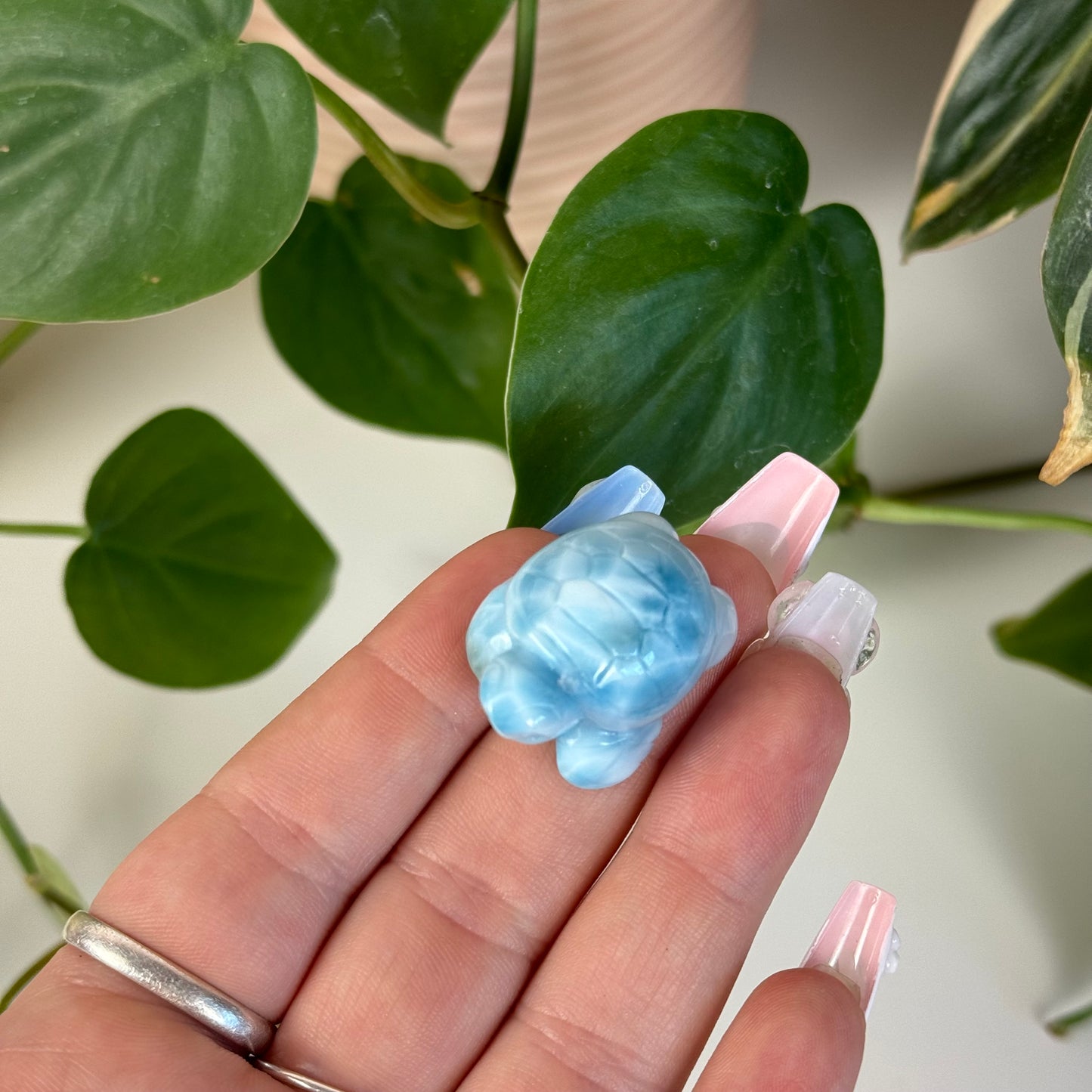 Small Larimar Turtle