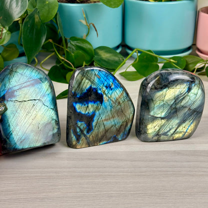 Green/Blue Labradorite Free Form