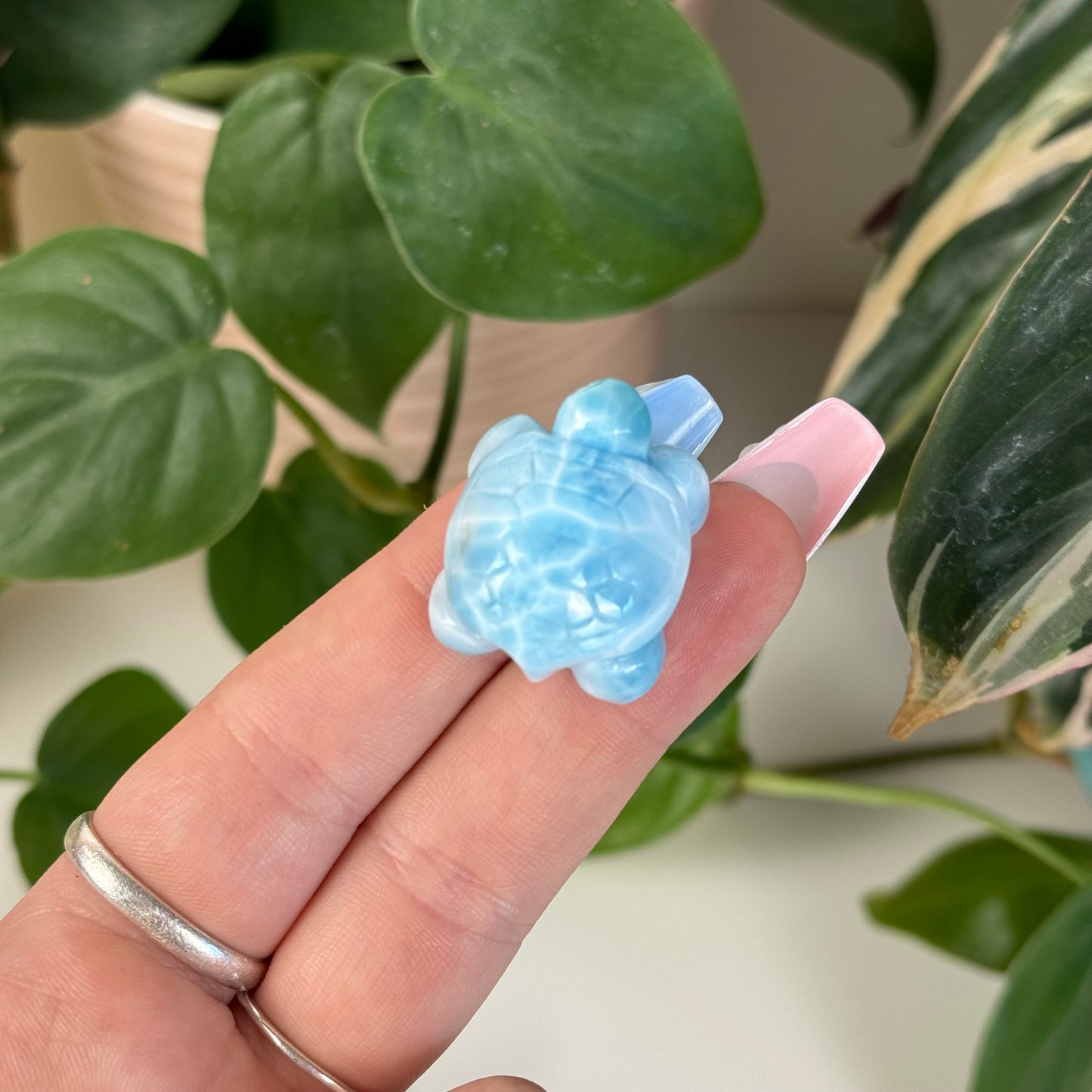 Small Larimar Turtle