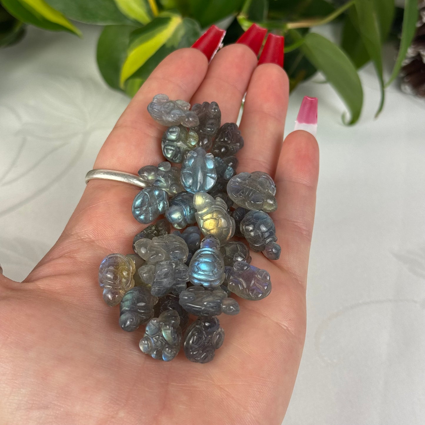 Mini AAA Labradorite Turtle