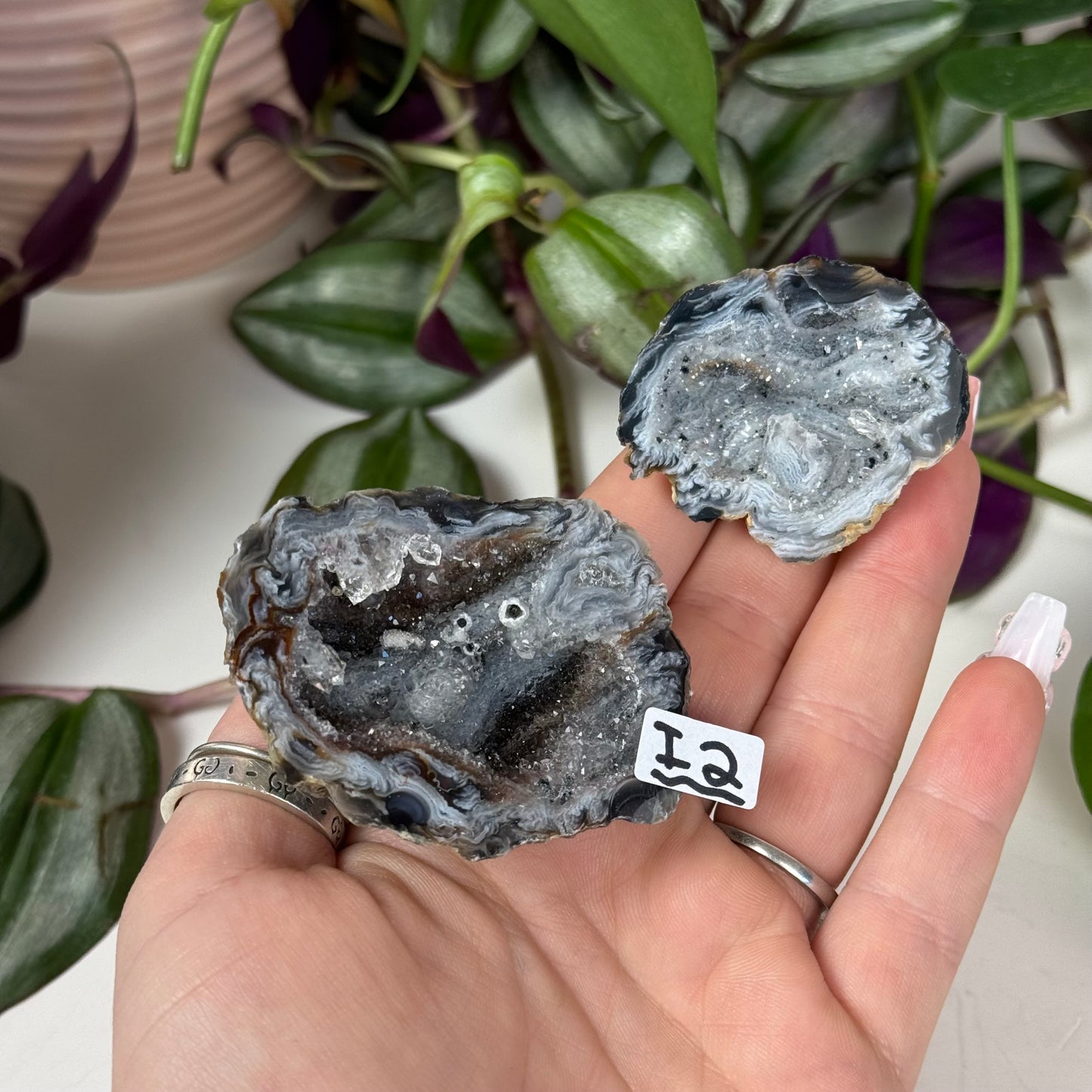 Druzy Agate Geode Pair