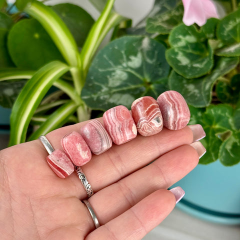 Rhodochrosite Forbidden Jelly Bean