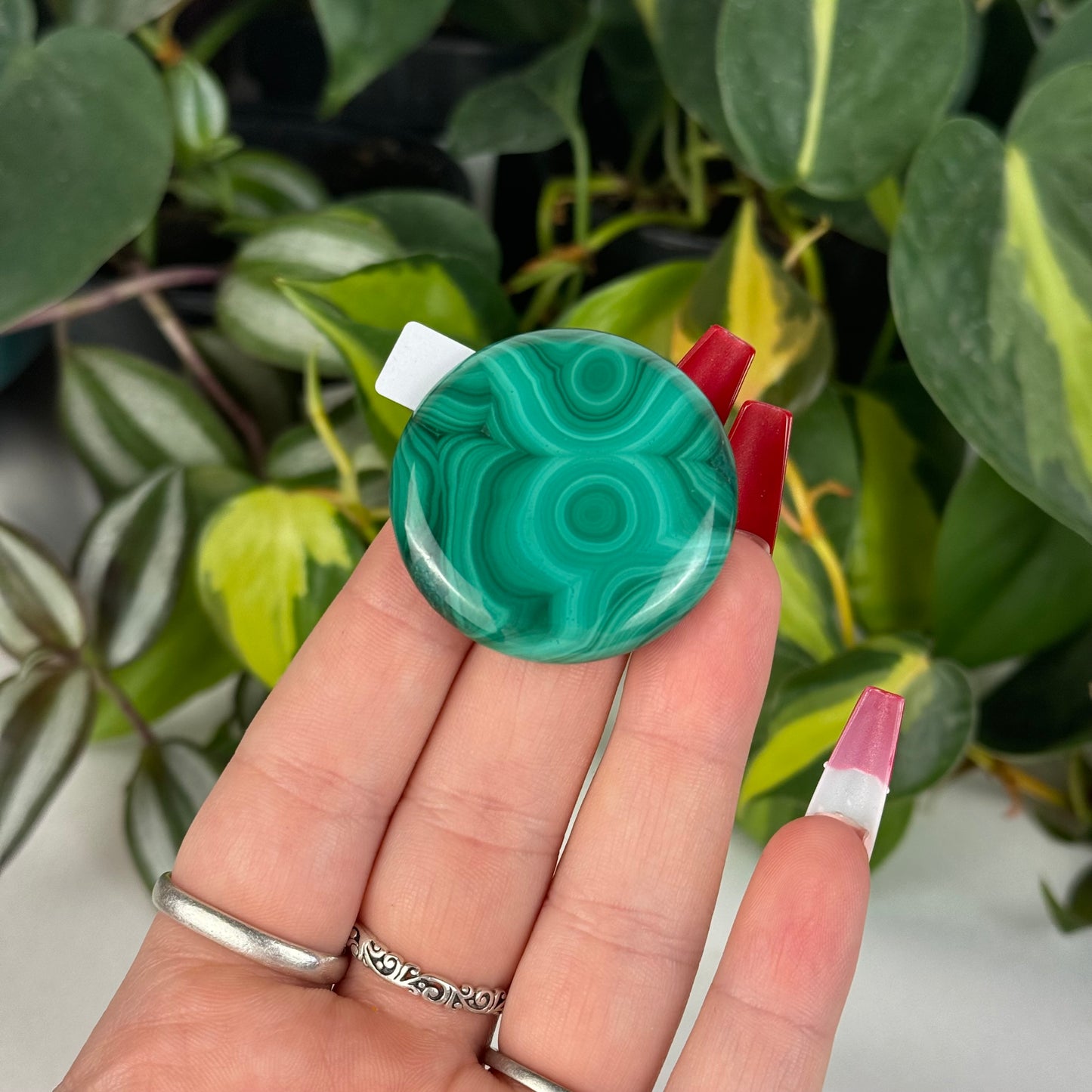 Mini Malachite Cookie