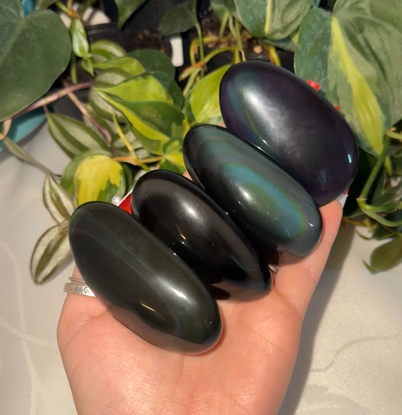 Rainbow Obsidian Palm Stone