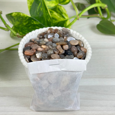 Black Moonstone Chips (100g)