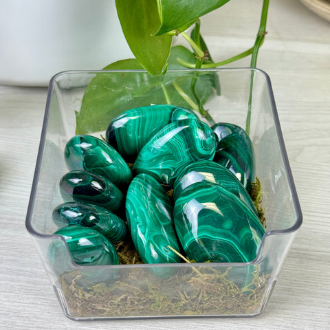Malachite Palm Stone