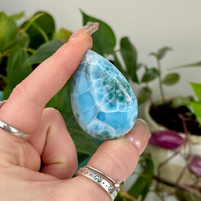 AAA Larimar Cabochon