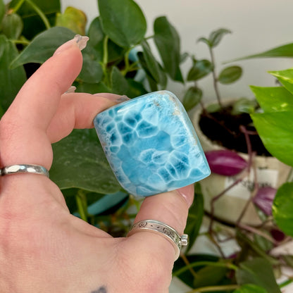 AAA Larimar Cabochon