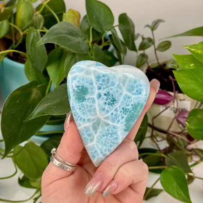 AAA Larimar Cabochon