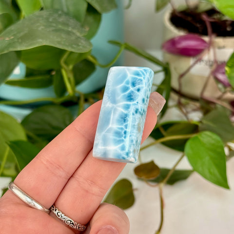 AAA Larimar Cabochon