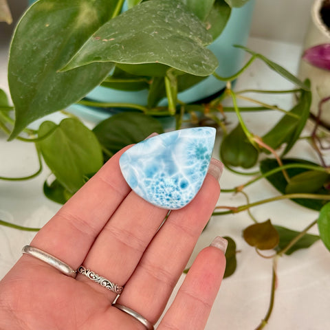 AAA Larimar Cabochon